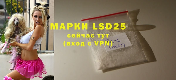 ECSTASY Кукмор
