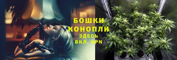 ECSTASY Кукмор