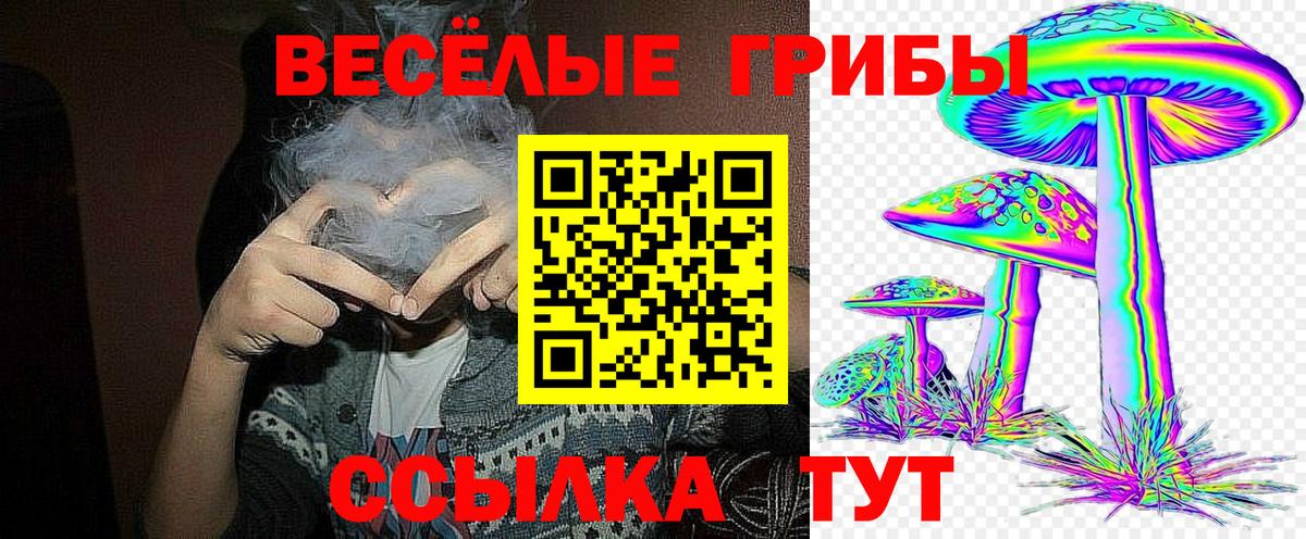 Псилоцибиновые грибы GOLDEN TEACHER  Вход с VPN  Красногорск 